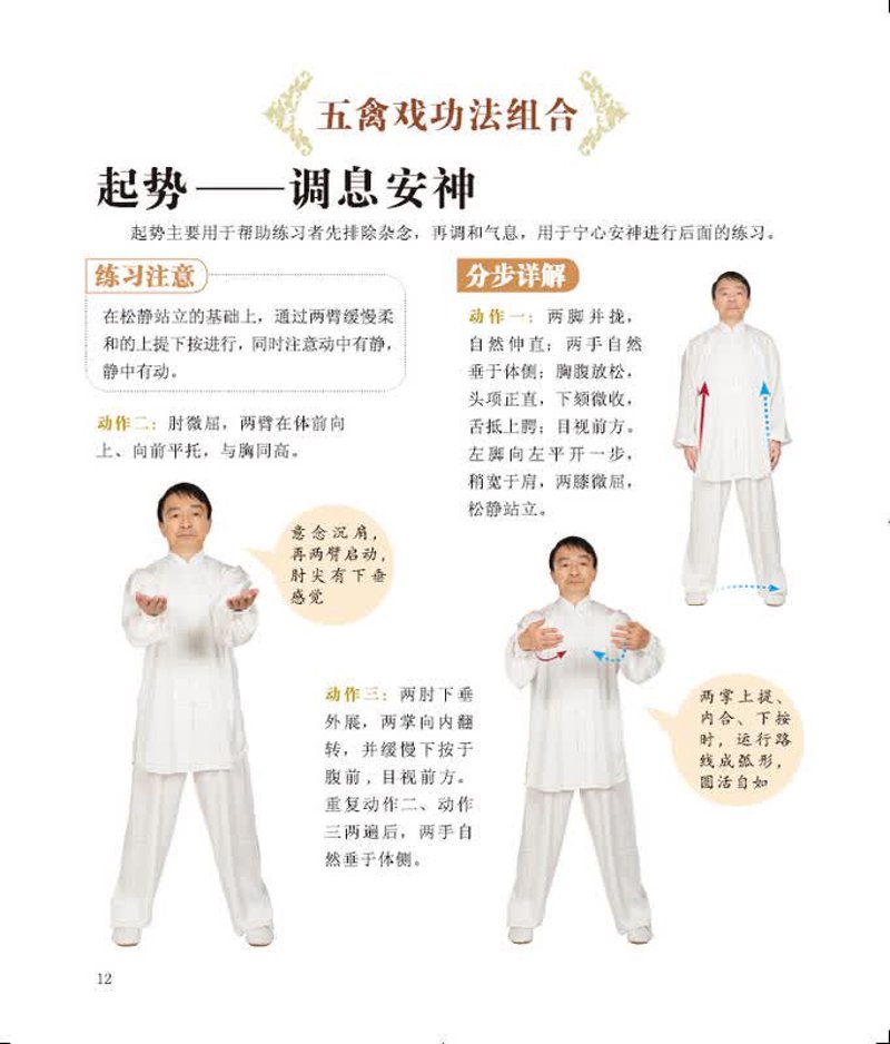 华佗五禽戏图解,探索传统养生智慧