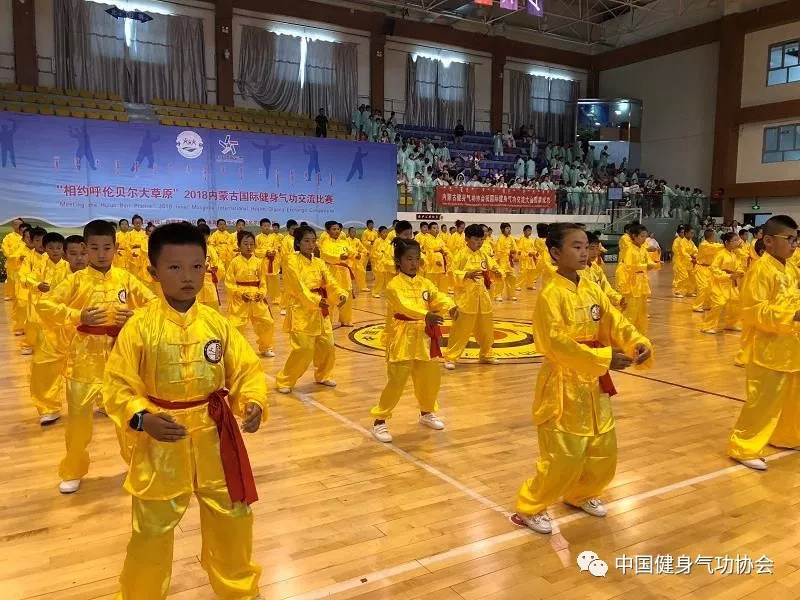 五禽戏教学:释放身心活力的秘密武器