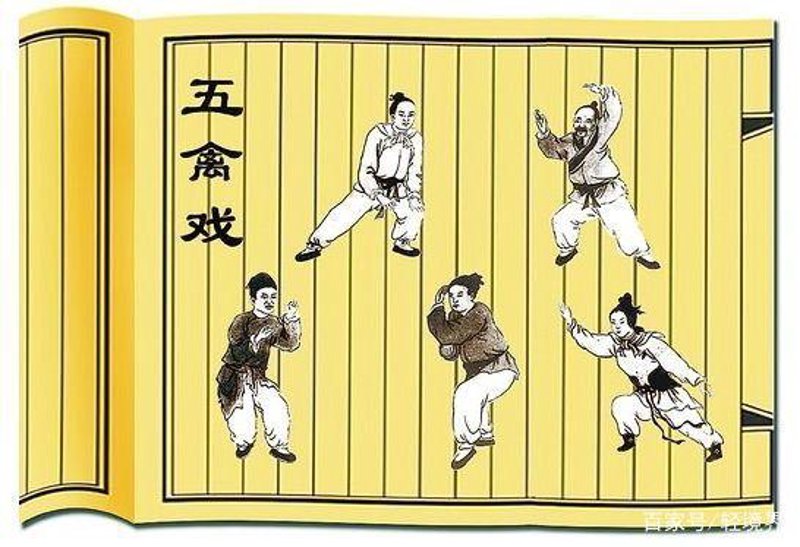 华佗五禽戏图解,探索传统养生智慧